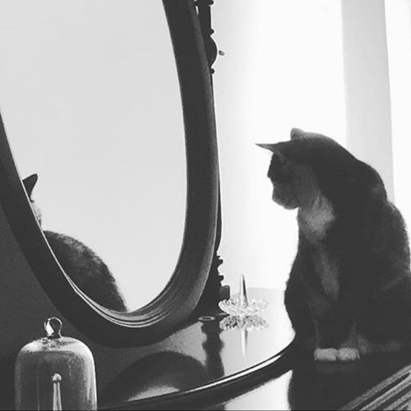 Meet your Posher, Tawnda - Picture 11 of 16